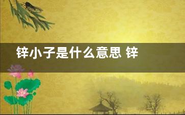 锌小子是什么意思 锌小子梗出自于哪里